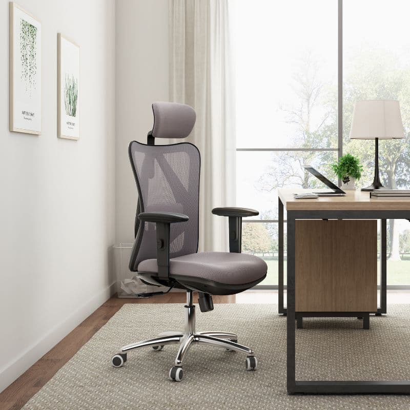 เก้าอี้สุขภาพ Sihoo Cozy Ergonomic Chair